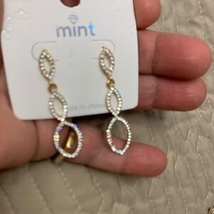 Mint  Rose and Silver Loop Earrings
